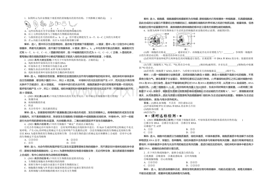 2021年高考生物(人教版)一轮复习强化练习：细胞器——系统内的分工合作.docx_第1页