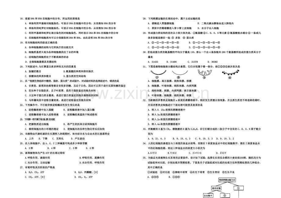 宁夏银川一中2020-2021学年高二上学期期中考试-生物-Word版含答案.docx_第2页