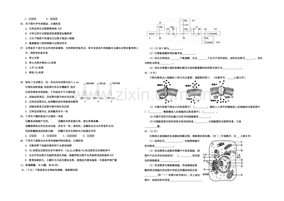 宁夏银川一中2020-2021学年高二上学期期中考试-生物-Word版含答案.docx_第3页