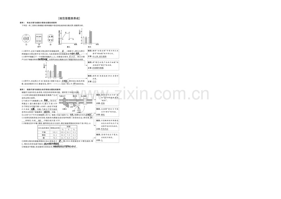 2022年高三生物(人教版)一轮复习-应试-考能大提升3——细胞的生命历程.docx_第3页