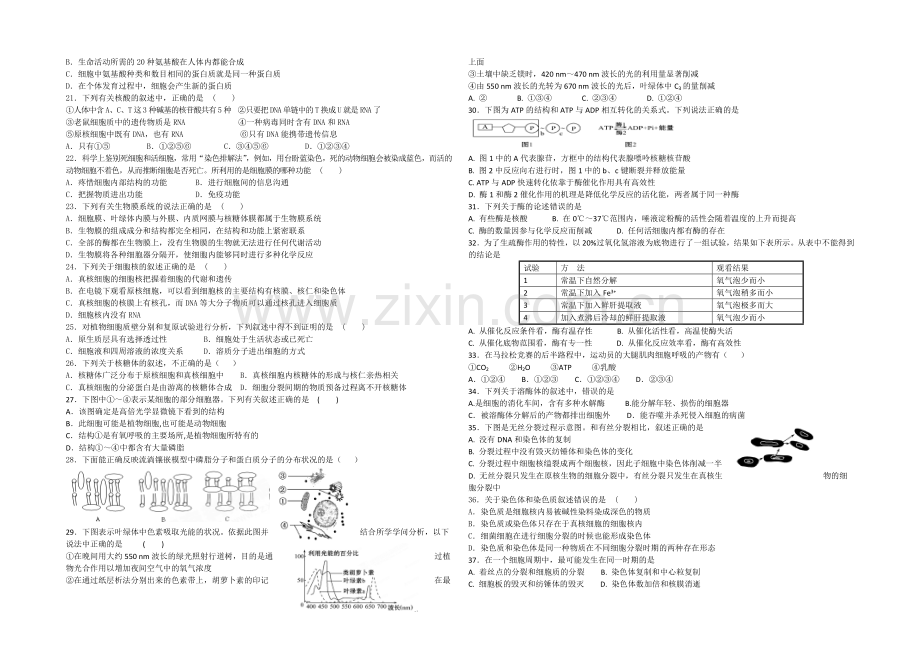 甘肃省天水一中2020-2021学年高一上学期期末考试生物试题Word版含答案.docx_第2页