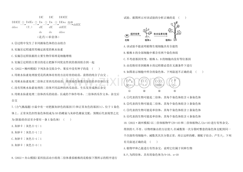 2021高考生物一轮课时作业24-必修2--5.2染色体变异.docx_第2页