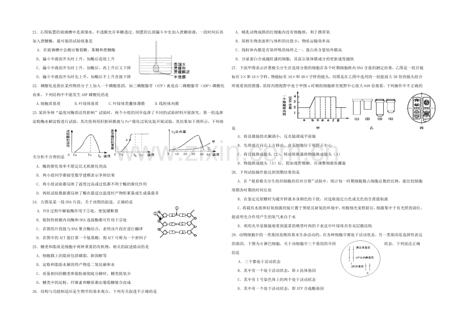 陕西省西安交大附中2021届高三上学期期中考试生物试题Word版含答案.docx_第3页