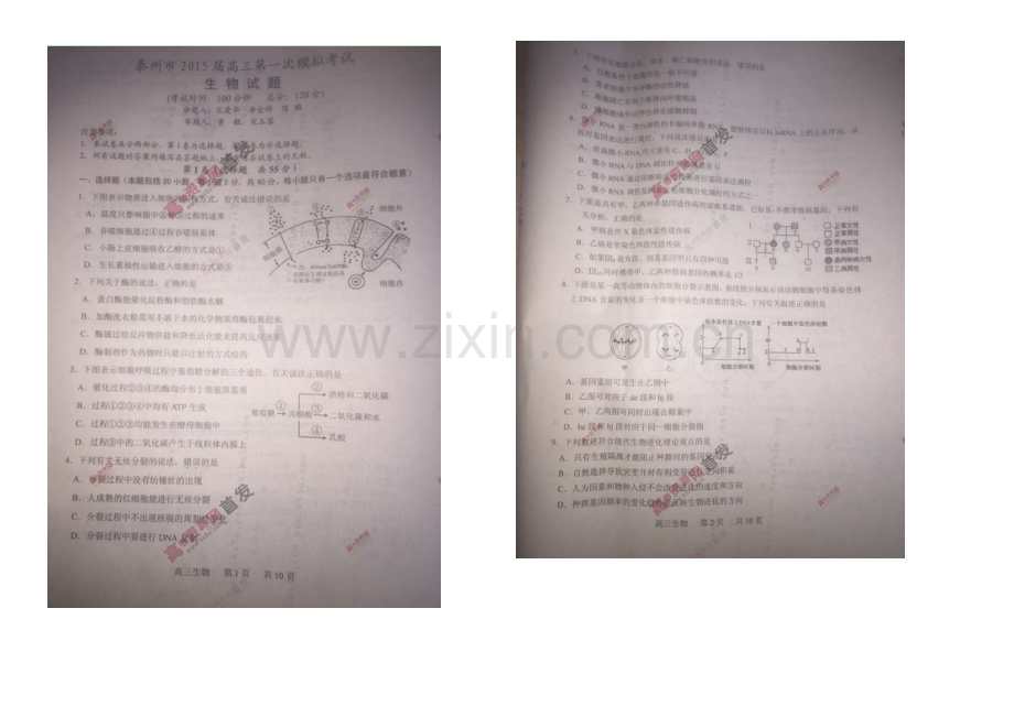 江苏省泰州市2021届高三第一次模拟考试-生物-扫描版含答案.docx_第1页