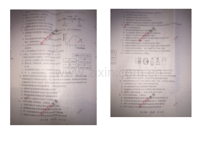 江苏省泰州市2021届高三第一次模拟考试-生物-扫描版含答案.docx_第2页