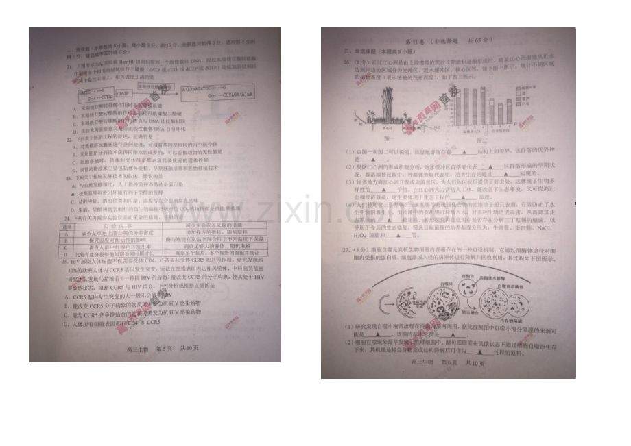 江苏省泰州市2021届高三第一次模拟考试-生物-扫描版含答案.docx_第3页