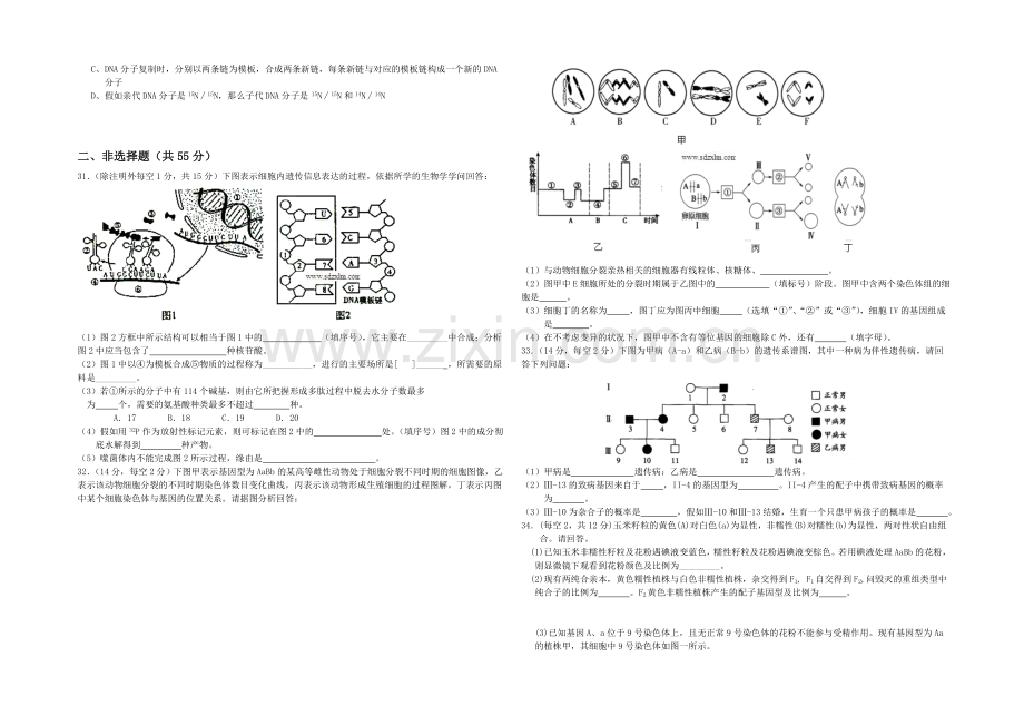 山东省德州市某中学2021届高三上学期10月月考生物试题Word版含答案.docx_第3页