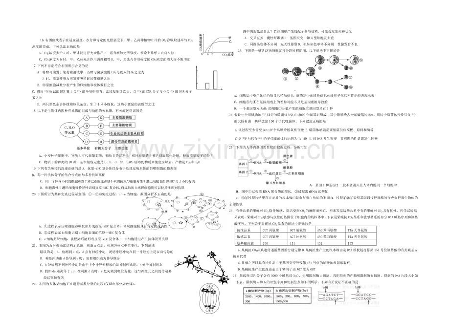 2021年高考生物小题专练系列11-Word版含答案.docx_第2页