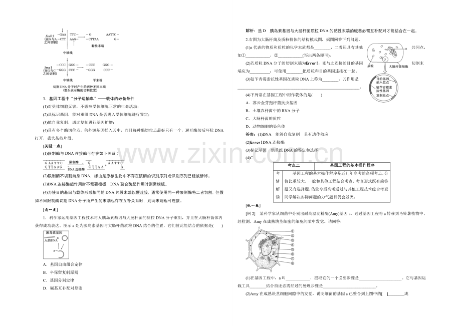 2021届高考生物一轮复习细致讲解练：选修3-第一讲-基因工程.docx_第3页