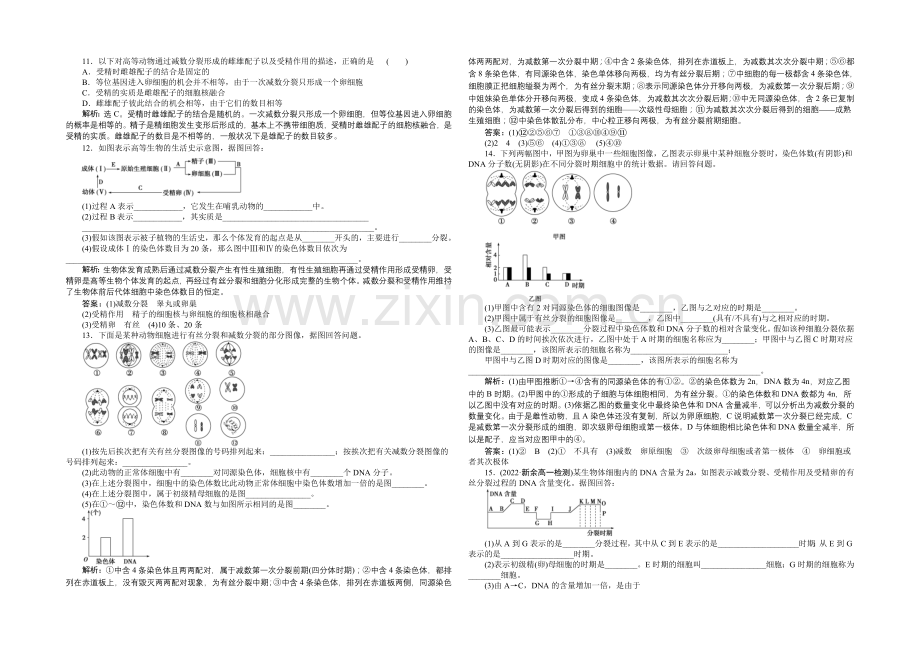 2020-2021学年高一生物(必修2)第二章第1节第2课时课时作业-.docx_第2页