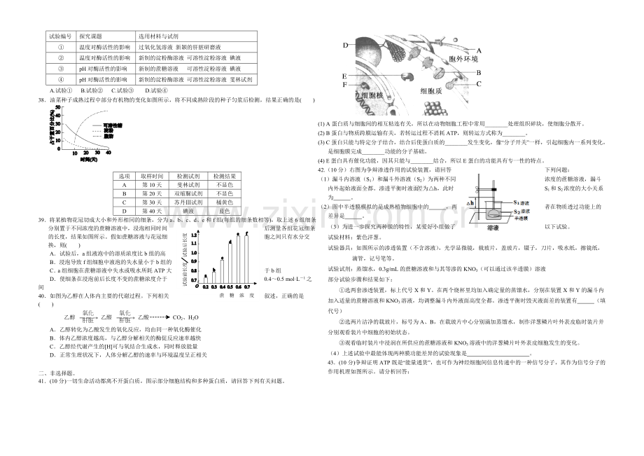 福建版2022届高三上学期第二次月考-生物-Word版含答案.docx_第3页