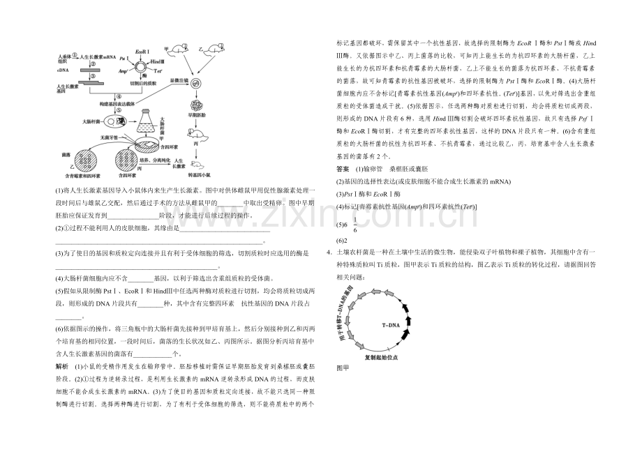 2021版生物二轮专题复习(江苏版)应用题组集训7-3-考点1-基因工程-.docx_第2页