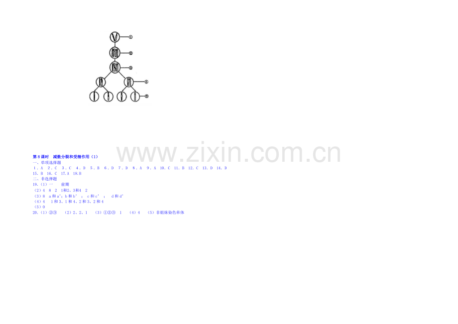 2013-2020学年高一下学期生物必修2-课时训练-第二章第1节.docx_第2页