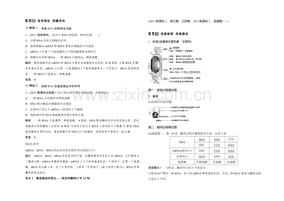 2021高考生物(人教版-山东专用)总复习教学案：必修2-第2单元第3讲-基因的表达.docx_第2页