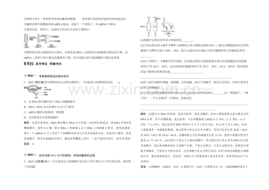 2021高考生物(人教版-山东专用)总复习教学案：必修2-第2单元第3讲-基因的表达.docx_第3页