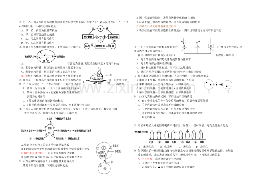 吉林一中2021-2022学年高二上学期期中试题-生物(理)-Word版含答案.docx_第3页