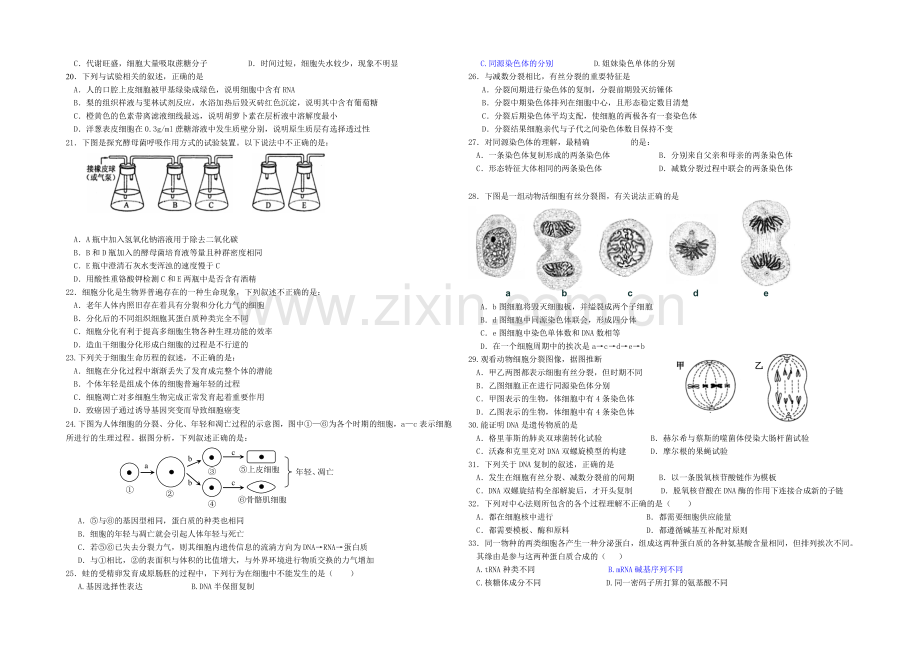 福建省厦门二中2021届高三上学期期中考试生物-Word版缺答案.docx_第2页