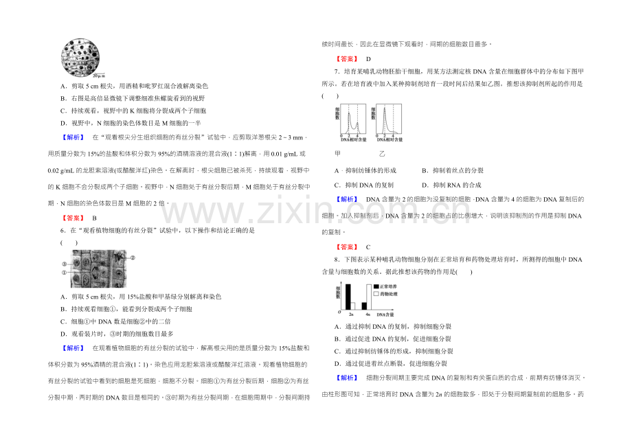 【名师金典】2022新课标高考生物总复习限时检测11细胞的增殖-.docx_第2页