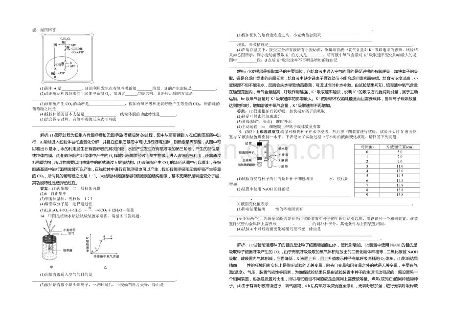 2021年高考生物(人教版)一轮复习强化练习：ATP的主要来源——细胞呼吸.docx_第3页