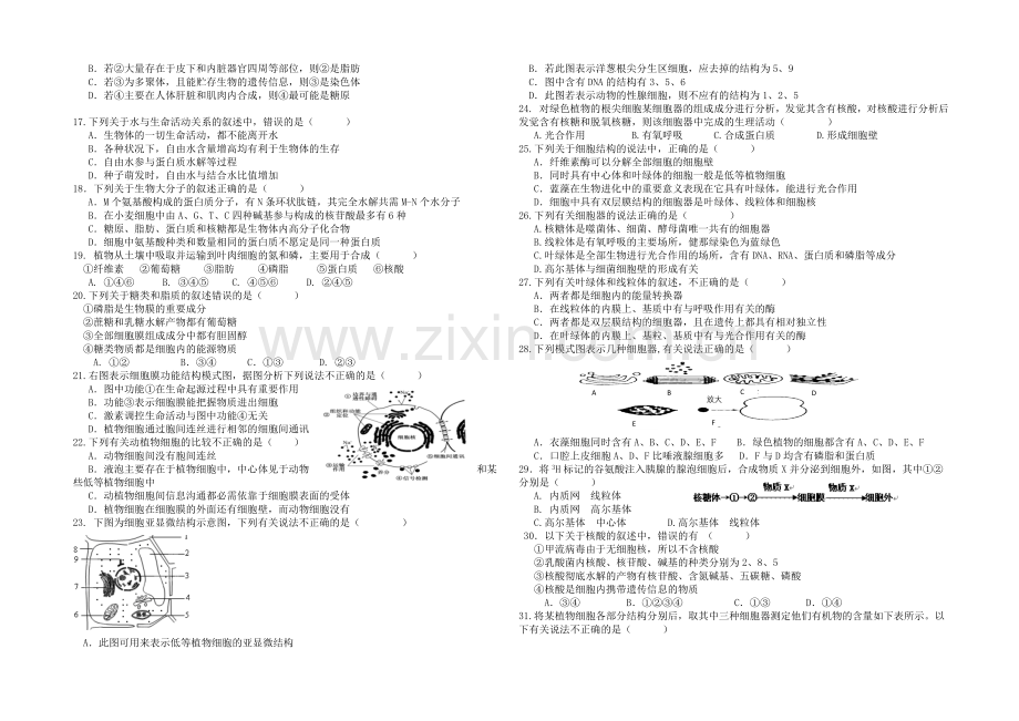 湖南省浏阳一中2020-2021学年高一上学期期中考试--生物-Word版含答案.docx_第2页