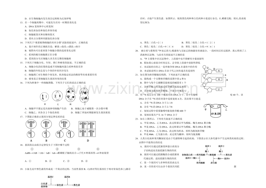 辽宁省沈阳二中2021届高三上学期期中考试生物试题-Word版含答案.docx_第2页