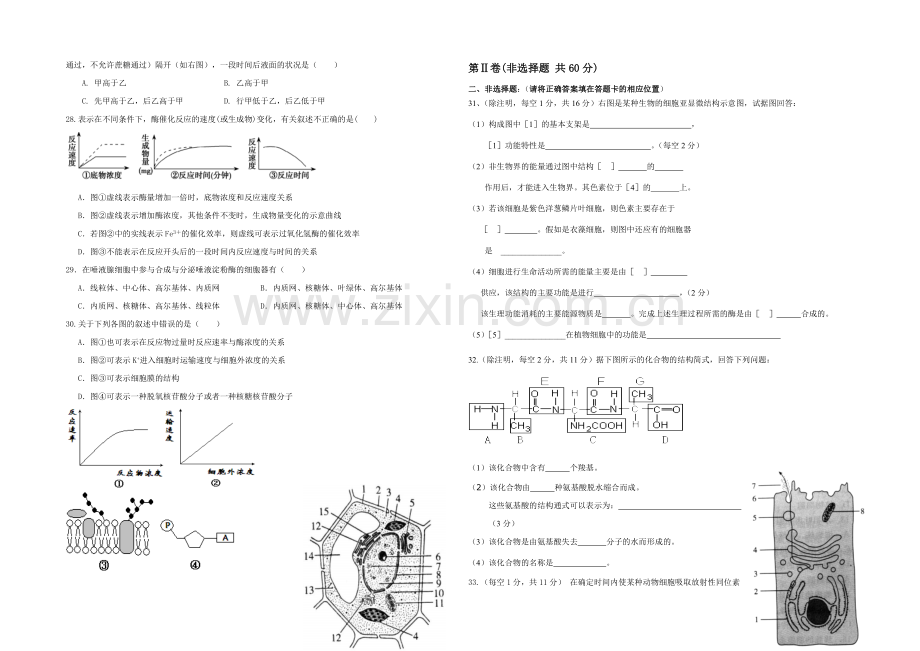 宁夏银川市第九中学2021-2022学年高二上学期期中考试-生物-Word版含答案.docx_第3页