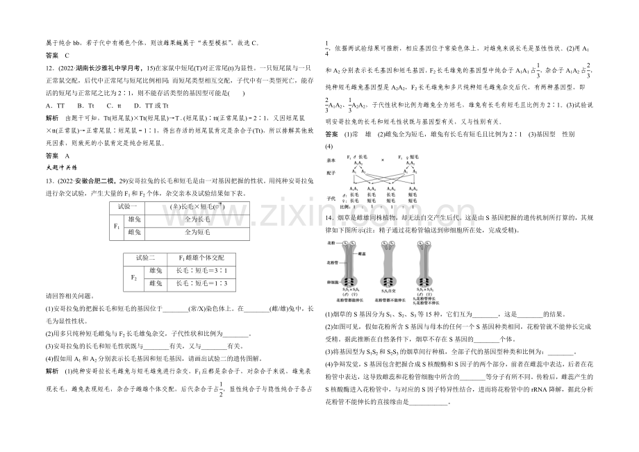 2022年高三生物(人教版)一轮复习-基础课时案14-基因的分离定律-课后训练.docx_第3页