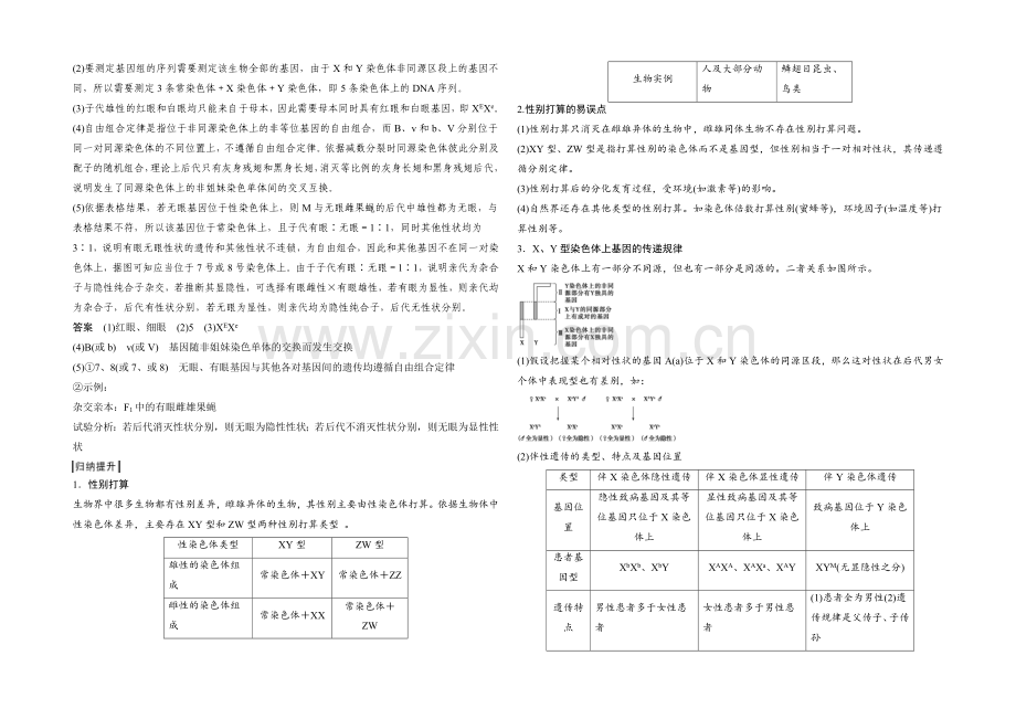 2022年高三生物(人教版)一轮复习-基础课时案16-基因在染色体上、伴性遗传-考点探究.docx_第2页