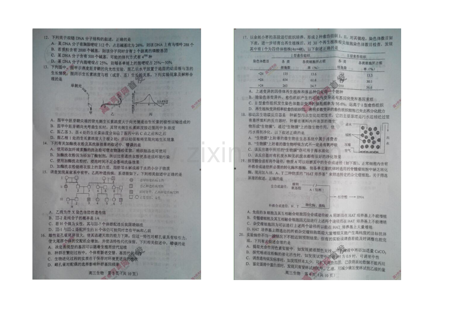 江苏省苏锡常镇四市2021届高三下学期教学情况调研(一)-生物-扫描版含答案.docx_第2页