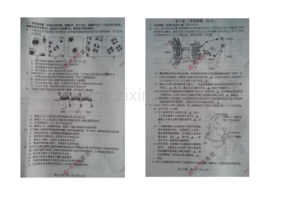 江苏省苏锡常镇四市2021届高三下学期教学情况调研(一)-生物-扫描版含答案.docx_第3页