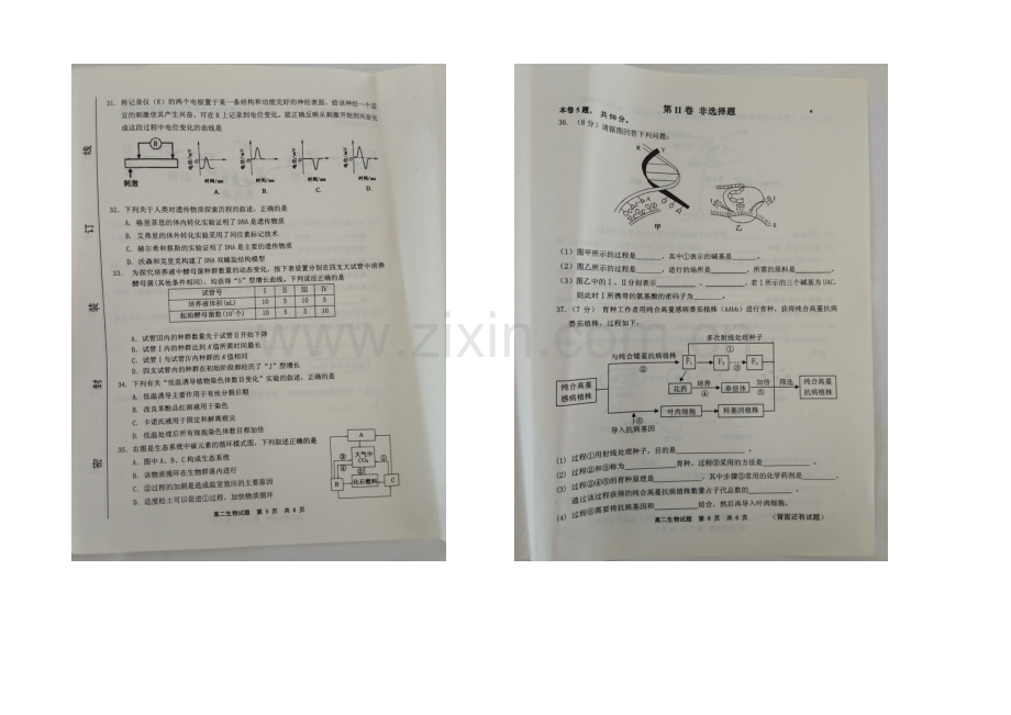 福建省宁德市2020-2021学年高二下学期期末考试生物试卷-扫描版含答案.docx_第3页