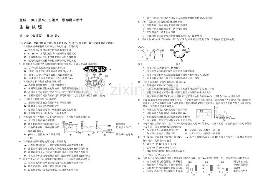 江苏省盐城市2022届高三上学期期中考试-生物-Word版含答案.docx_第1页