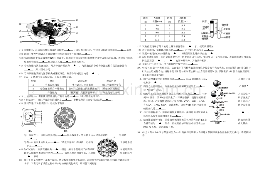 江苏省盐城市2022届高三上学期期中考试-生物-Word版含答案.docx_第3页