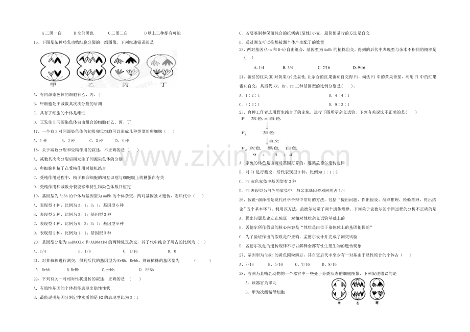 福建省龙海程溪中学2020-2021学年高一下学期期中考试生物试卷-Word版含答案.docx_第2页