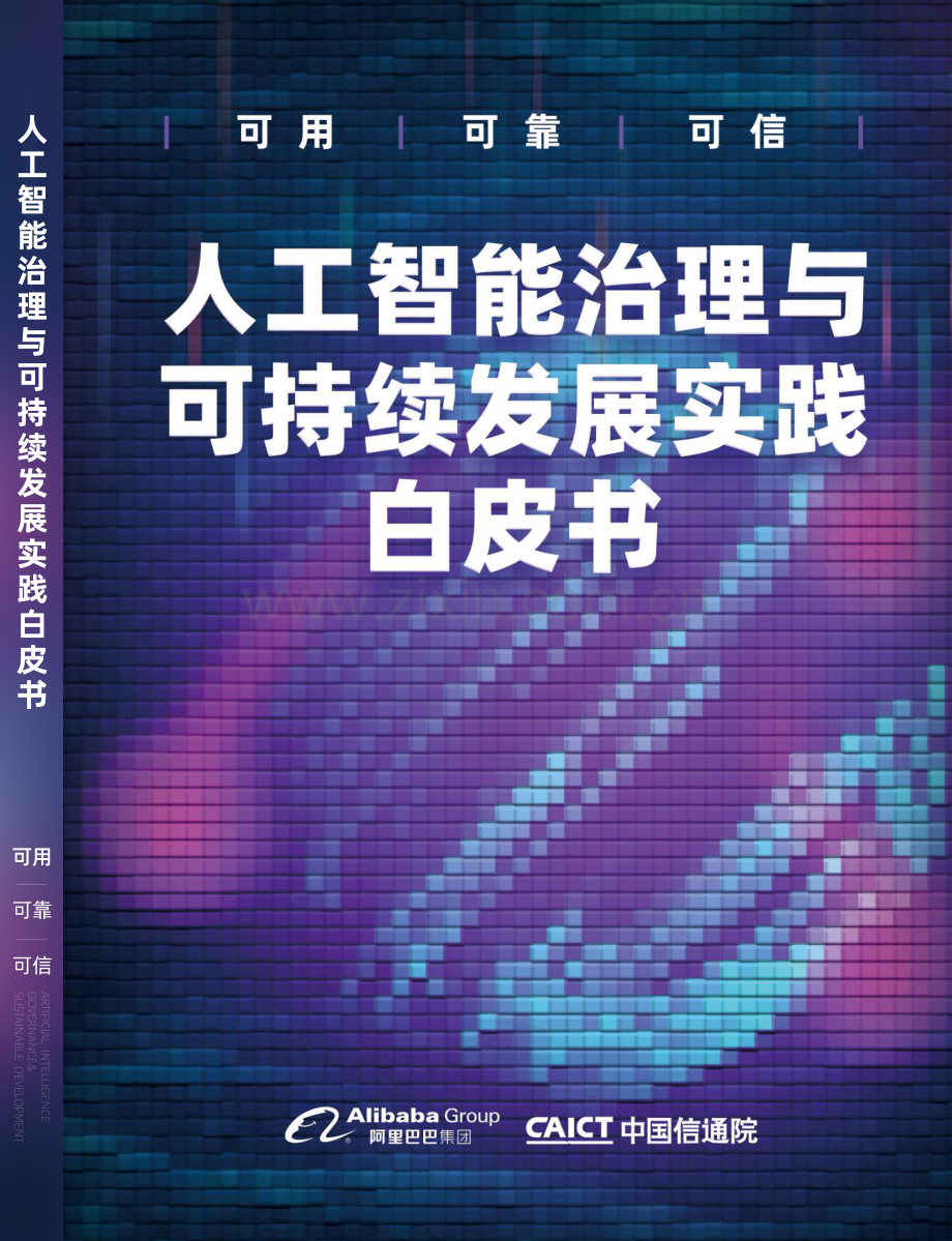 2022人工智能治理与可持续发展实践白皮书.pdf_第1页