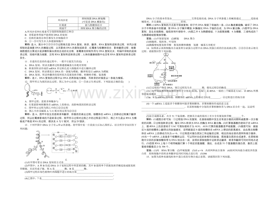 2020-2021学年高一生物(必修2)章末过关检测(四).docx_第2页