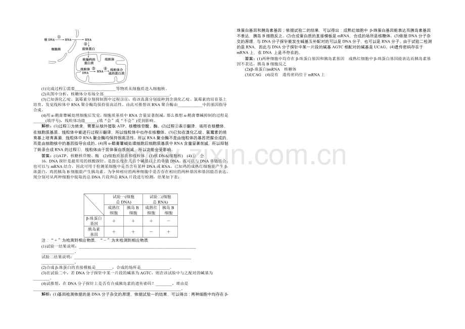 2020-2021学年高一生物(必修2)章末过关检测(四).docx_第3页