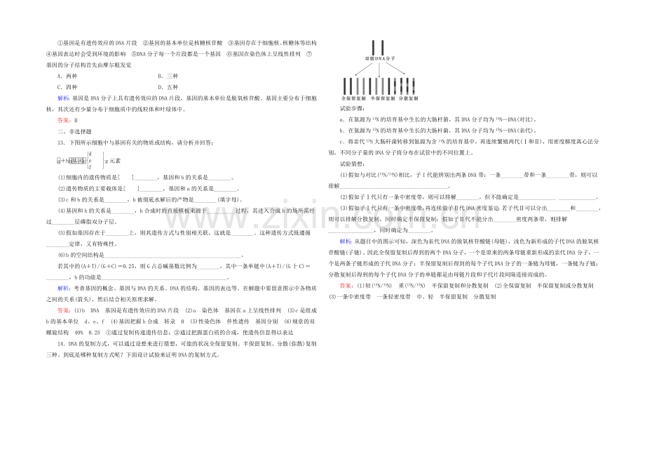 2021高考生物一轮巩固提升训练：必修2-3.2-dna分子的结构、复制与基因.docx_第3页