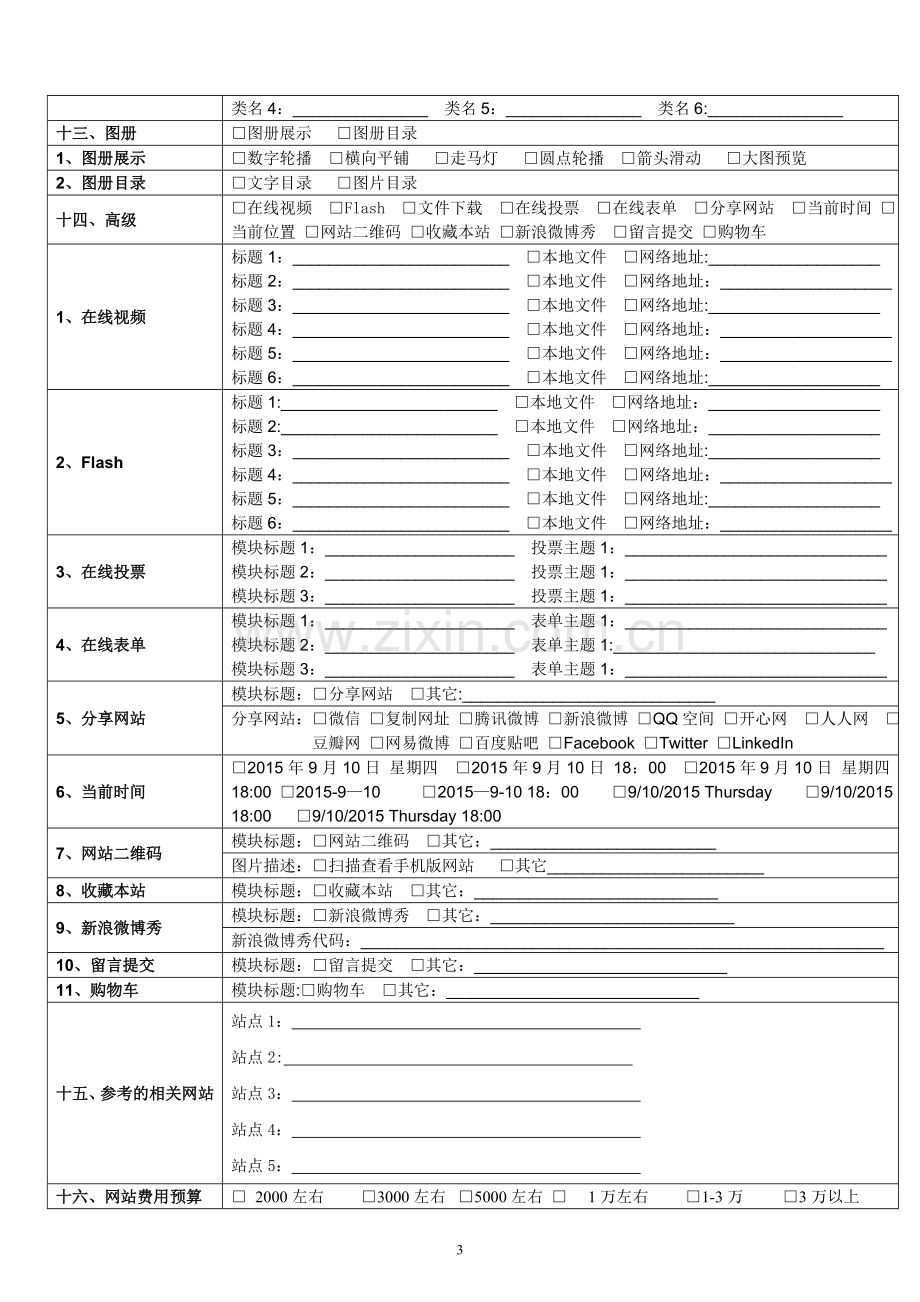 网站开发需求表.doc_第3页