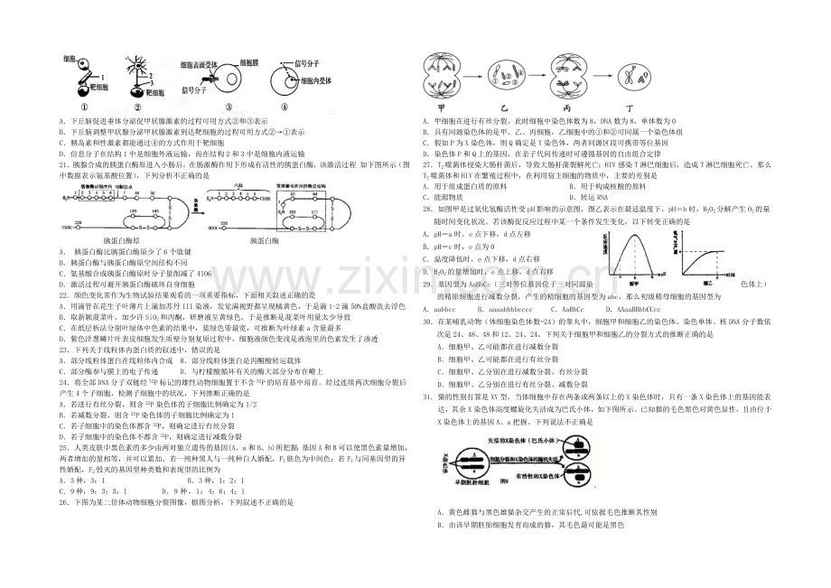 浙江省建人高复2022届高三上学期第三次月考生物试卷-Word版含答案.docx_第3页