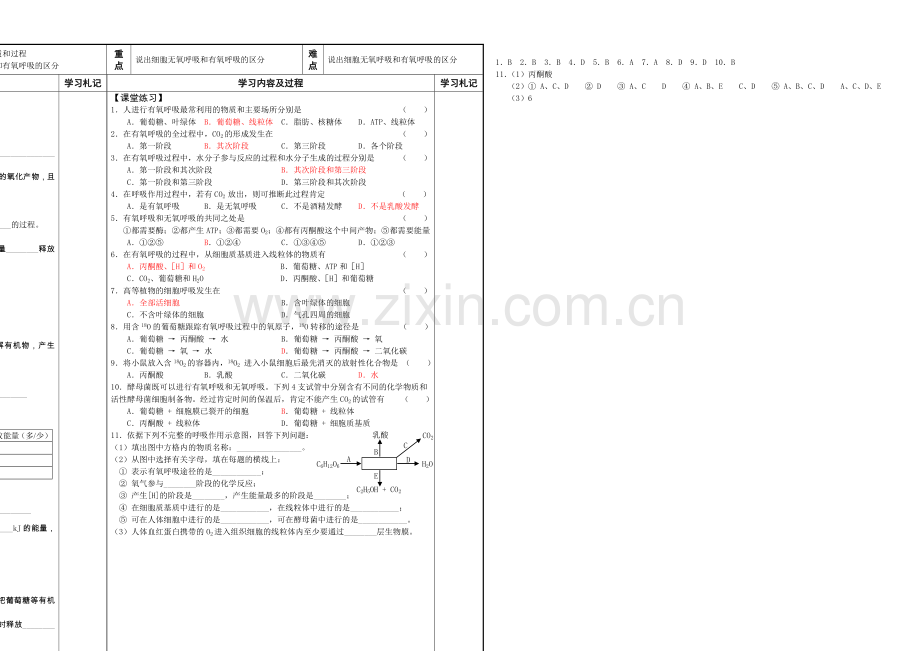 江苏省2013—2020学年高一生物(苏教版)必修一学案19：--细胞呼吸的过程.docx_第1页