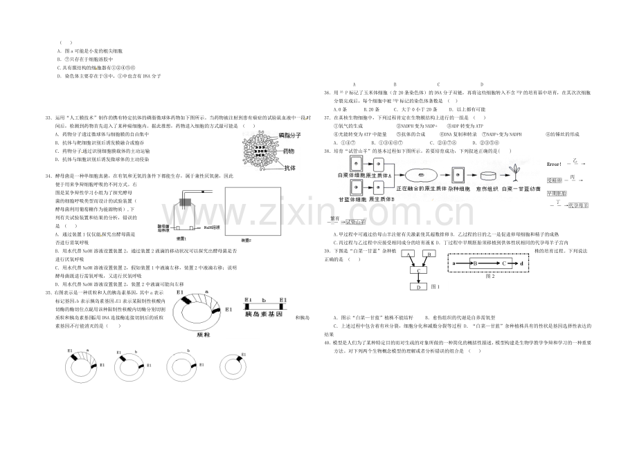 2021年高考生物小题专练系列23-Word版含答案.docx_第3页