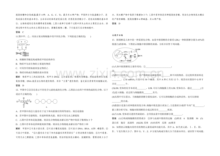 2022年高三生物(人教版)一轮复习-基础课时案4-核酸、糖类和脂质-课后训练.docx_第3页