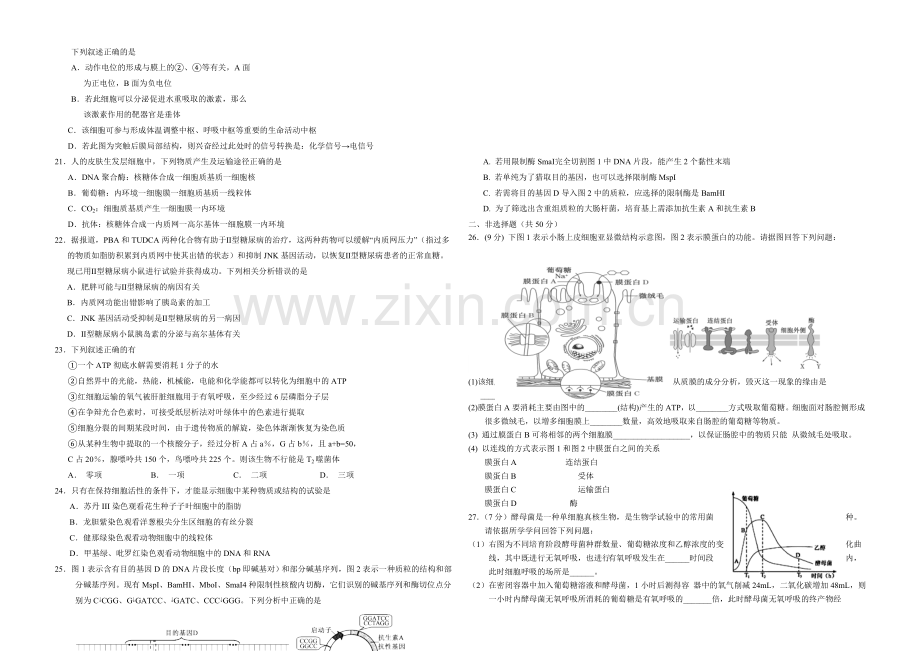 陕西版2022届高三上学期第二次月考-生物-Word版含答案.docx_第3页