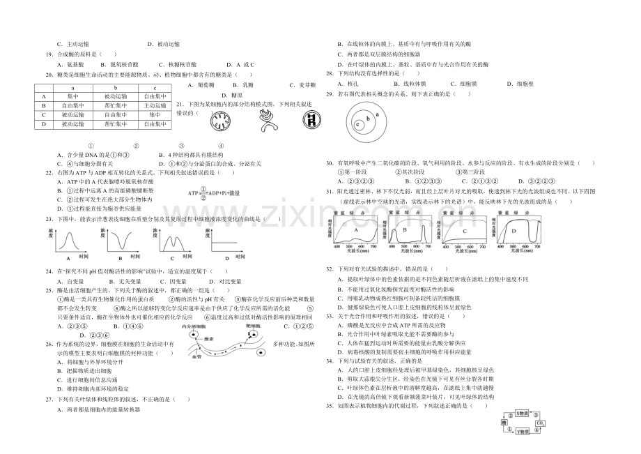 山东省菏泽市2020-2021学年高一上学期期末考试生物试卷(B)word版含答案.docx_第2页