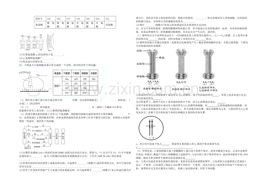 吉林一中2020-2021学年高一下学期期末生物考试-Word版含答案.docx_第3页