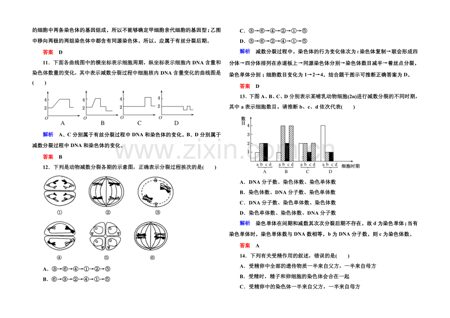 2020-2021学年新课标版生物必修2-双基限时练3-第二章--基因和染色体的关系.docx_第3页