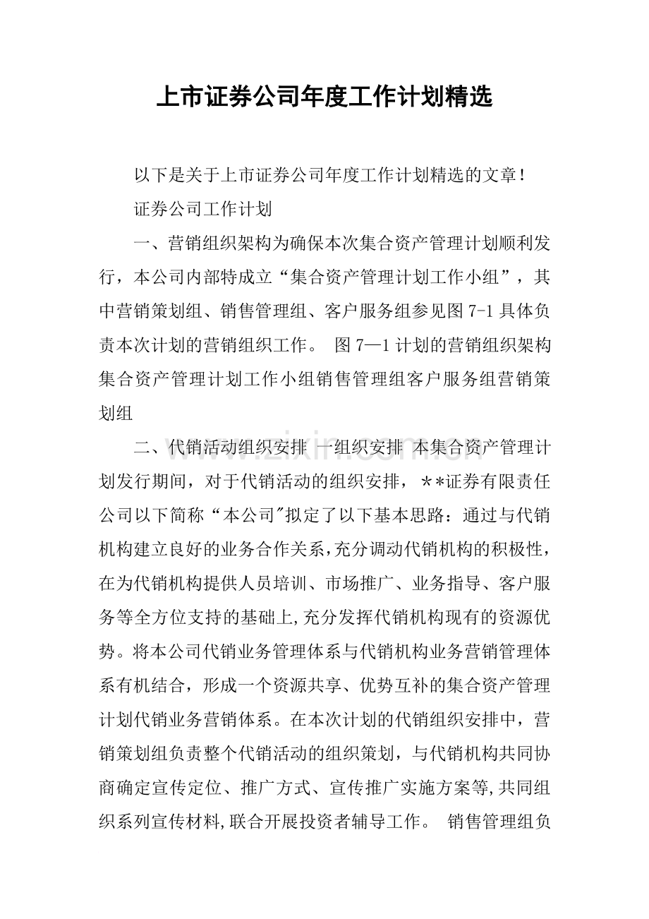 上市证券公司年度工作计划精选.docx_第1页