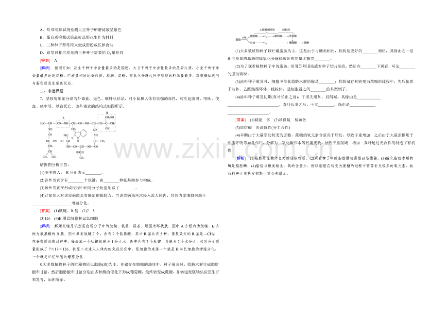 2022届高考生物二轮复习强化练：专题1-1《细胞的分子组成和结构》---Word版含解析.docx_第2页