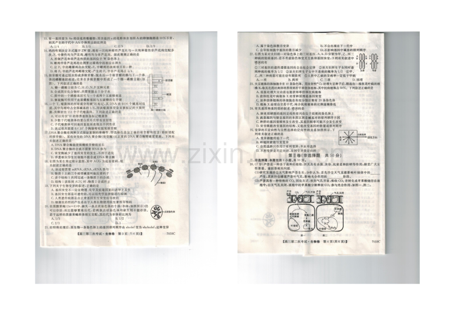 辽宁省葫芦岛市六校协作体2022届高三上学期第二次考试-生物-扫描版含答案.docx_第2页